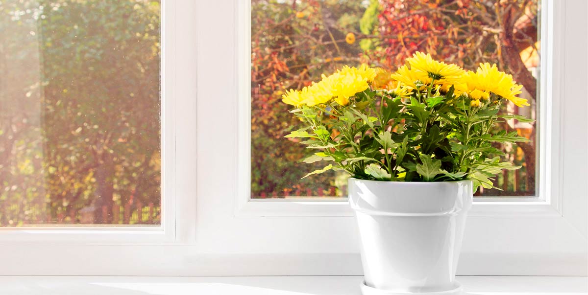 Perfecta Fenster &amp; Türen Aktuelles Harmonisch bunt